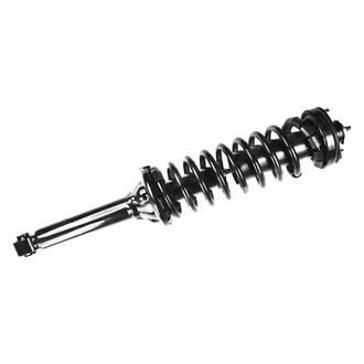 FCS® - Rear Driver or Passenger Side Complete Strut Assembly