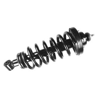 FCS® - Rear Driver or Passenger Side Complete Strut Assembly