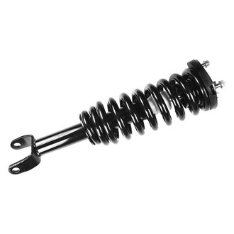 FCS® - Front Driver or Passenger Side Complete Strut Assembly