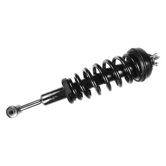 FCS® - Front Driver or Passenger Side Complete Strut Assembly