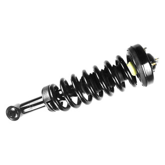 FCS® - Front Driver or Passenger Side Complete Strut Assembly