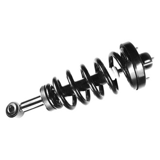 FCS® - Rear Driver or Passenger Side Complete Strut Assembly