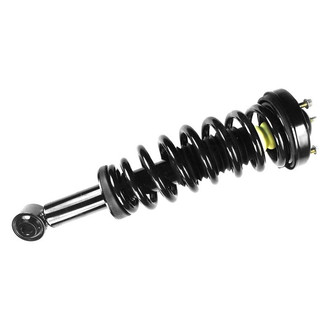 FCS® - Front Driver or Passenger Side Complete Strut Assembly