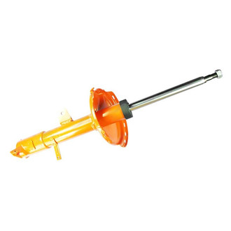 FCS® - Rear Driver Side Strut