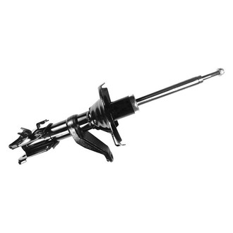 FCS® - Strut
