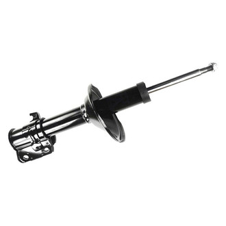 FCS® - Strut