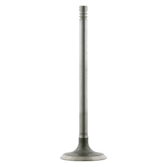 Febi® - Intake Valve