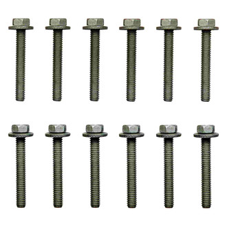 Fel-Pro® - Natural Steel Intake Manifold Bolt Set