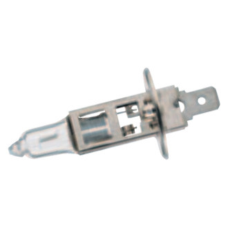 Flosser® - H4 Halogen Bulb
