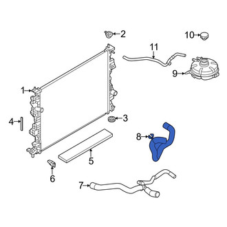 Ford OE - Lower Radiator Coolant Hose