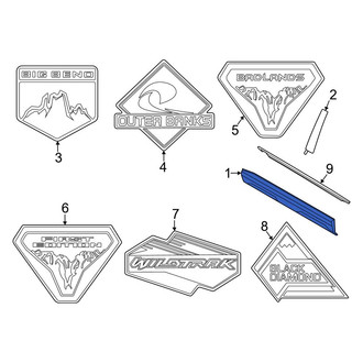 Ford OE - Front Right Door Molding