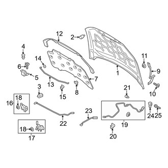 Ford OE - Hood & Components