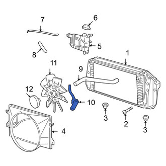 Ford OE - Lower Radiator Coolant Hose