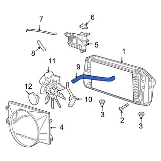 Ford OE - Upper Radiator Coolant Hose