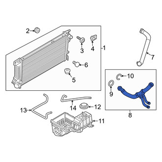 Ford OE - Lower Radiator Coolant Hose