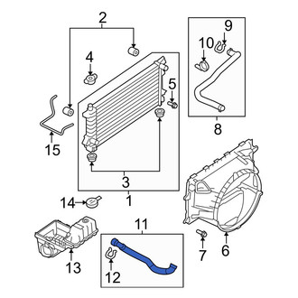 Ford OE - Lower Radiator Coolant Hose