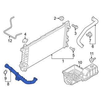 Ford OE - Lower Radiator Coolant Hose