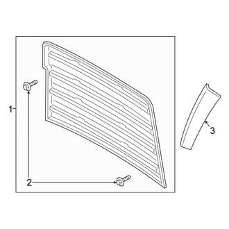 Ford OE - Hood - Exterior Trim (Raptor)