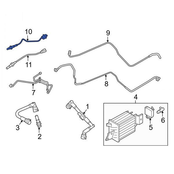 Oxygen Sensor