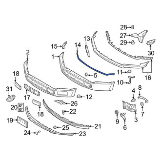 Ford OE - Front Center Bumper Trim