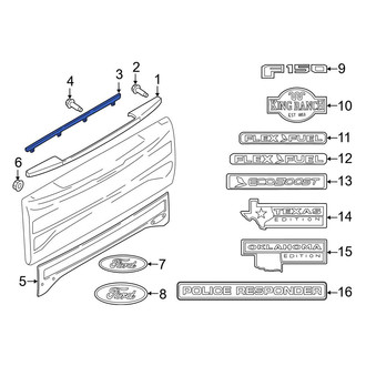 Ford OE - Rear Tailgate Trim Cover
