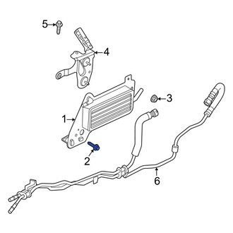 Ford OE - Automatic Transmission Oil Cooler Bolt
