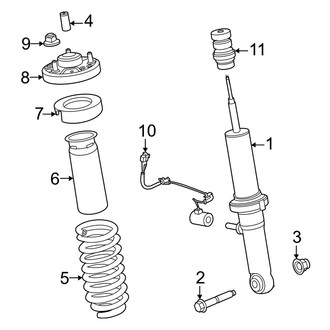 Ford OE - Front Suspension - Struts & Components (Raptor)