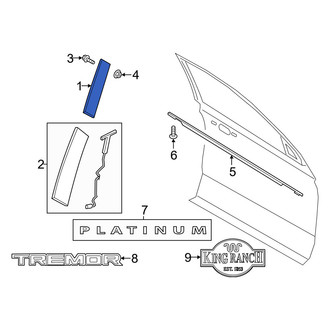 Ford OE - Front Right Door Applique