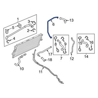 Ford OE - Lower Radiator Coolant Hose