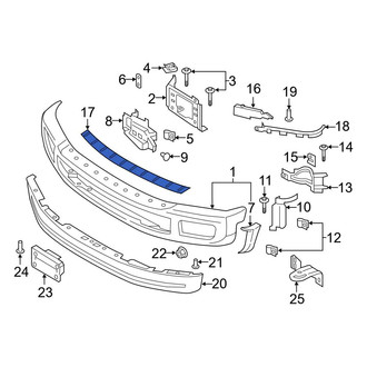 Ford OE - Front Bumper Step Pad