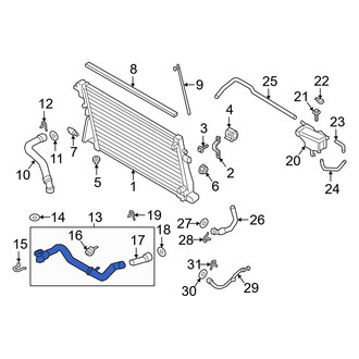 Ford OE - Lower Radiator Coolant Hose