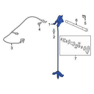 Ford OE - Rear Spare Tire Carrier
