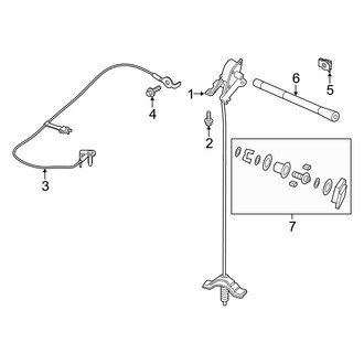 Ford OE - Spare Tire Carrier - Carrier & Components