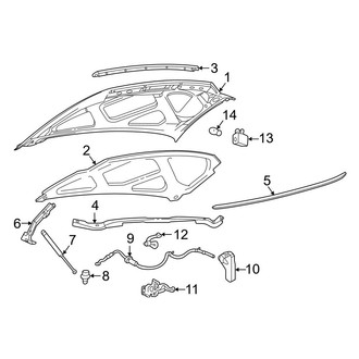 Ford OE - Hood & Components (Cab & Chassis - Crew Cab)
