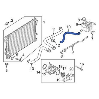 Ford OE - Lower Engine Coolant Overflow Hose