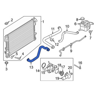 Ford OE - Lower Radiator Coolant Hose