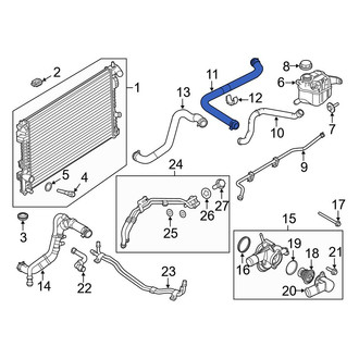 Ford OE - Upper Radiator Coolant Hose
