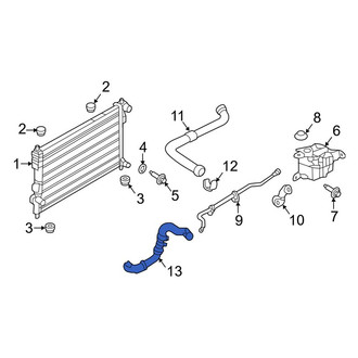 Ford OE - Lower Radiator Coolant Hose