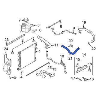 Ford OE - Lower Radiator Coolant Hose