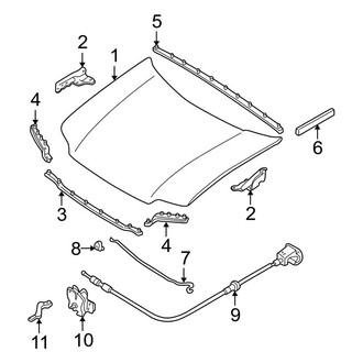 Ford OE - Hood & Components