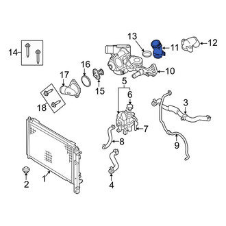 Ford OE - Lower Radiator Coolant Hose