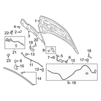 Ford OE - Hood & Components
