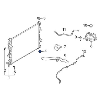 Ford OE - Lower Radiator Insulator