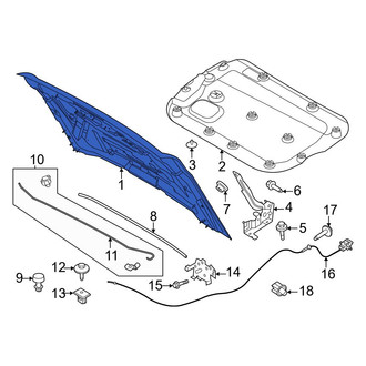 Ford OE - Front Hood Panel