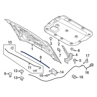 Ford OE - Front Hood Seal