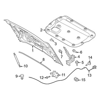 Ford OE - Hood & Components (Raptor)