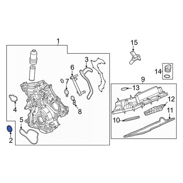 Engine Crankshaft Seal