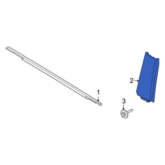 Ford OE - Front Right Door Applique