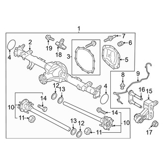 Ford OE - Rear Suspension - Axle Housing (Raptor)
