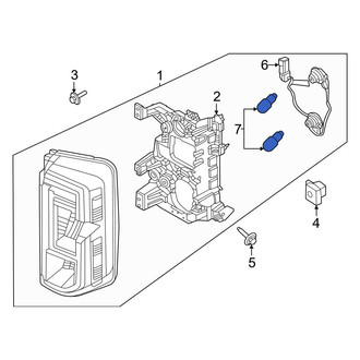 Ford OE - Rear Tail Light Bulb